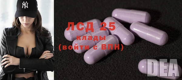 твердый Алзамай