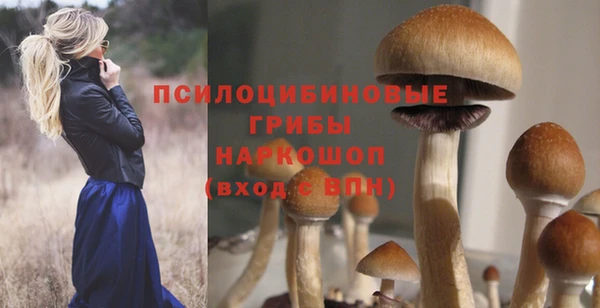 PSILOCYBIN Алексин