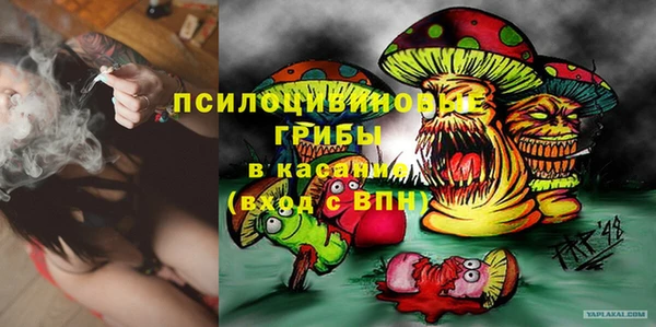 PSILOCYBIN Алексин